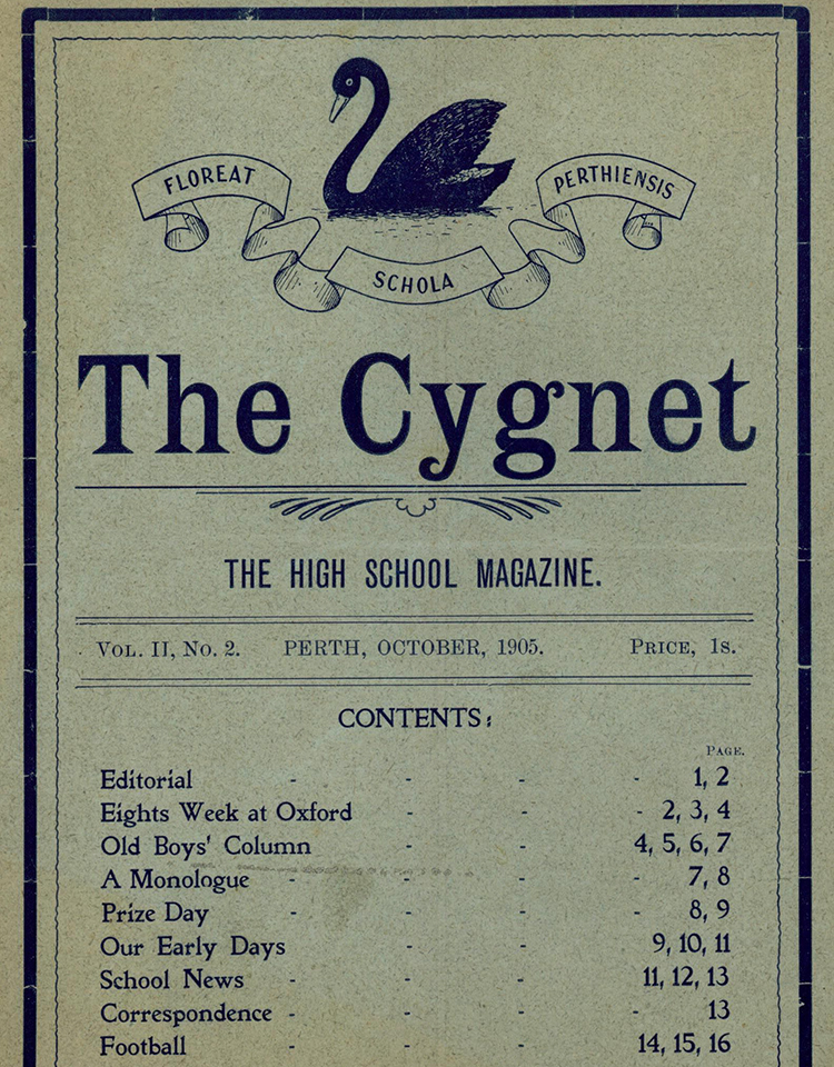 The Cygnet